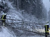 IMG_1497